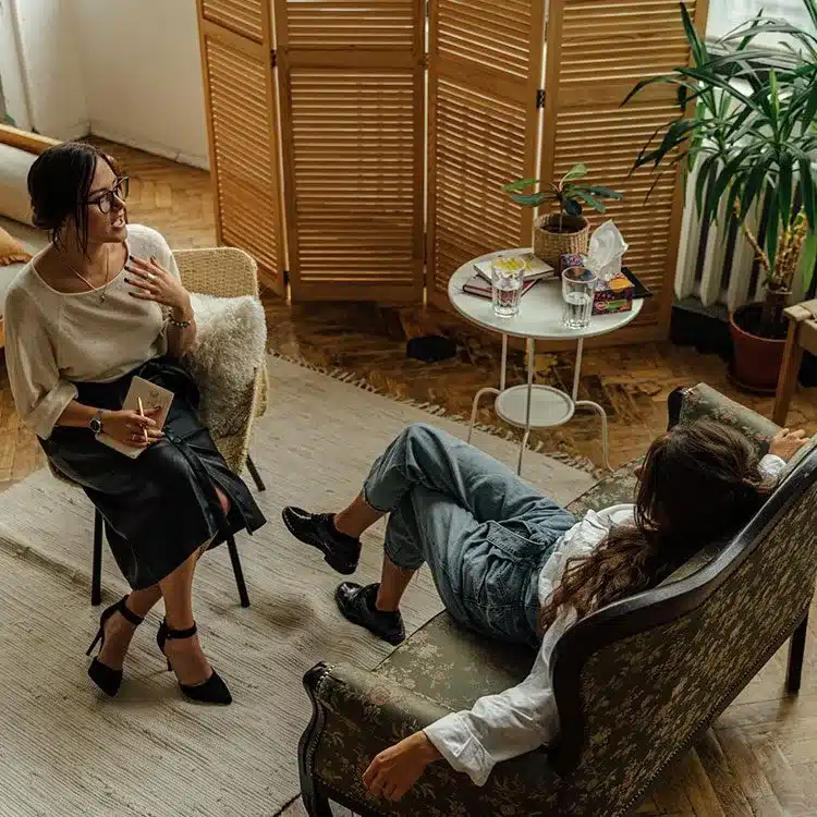 Therapist talking to her patient web